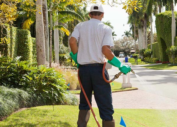 About Levittown NY Pest Control